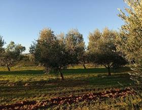 land sale huelva resto provincia by 210,000 eur