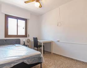 room rent elda centro by 290 eur