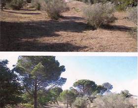lands for sale in pau