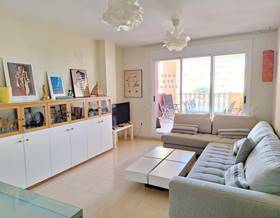 houses for rent in pedreguer