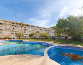 apartments for sale in torrevieja
