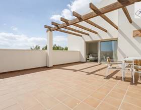apartments for sale in algorfa