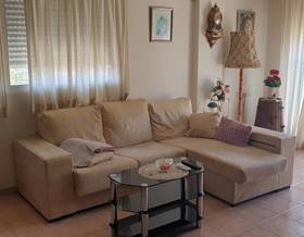 flat rent alicante elche elx by 800 eur