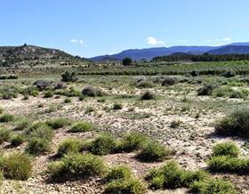 land sale villena las virtudes by 32,000 eur