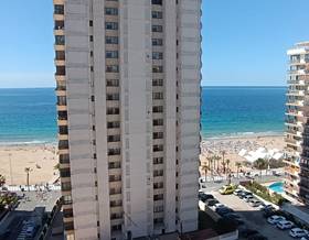 studio sale alicante benidorm by 233,200 eur