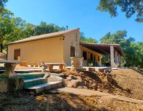 houses for rent in fuencaliente