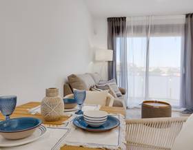 apartments for sale in san miguel de salinas