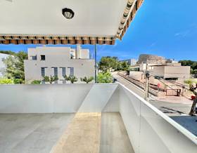 apartments for rent in colonia de sant jordi