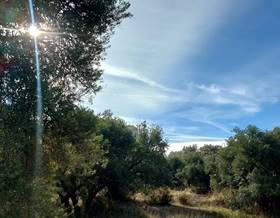 lands for sale in quentar
