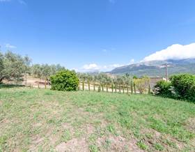 houses for sale in malaga province