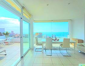houses for sale in los majuelos