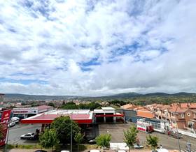 houses for sale in plasencia