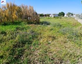 land sale el puerto de santa maria la negra by 70,000 eur