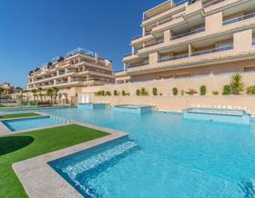 houses for sale in san miguel de salinas