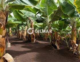lands for sale in arucas