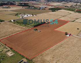 lands for sale in balearic islands