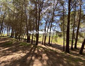 lands for sale in l´ olleria