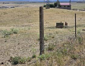 lands for sale in casar de caceres