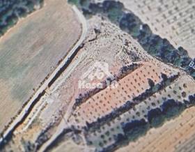 rustic property sale ibi la canal by 65,000 eur