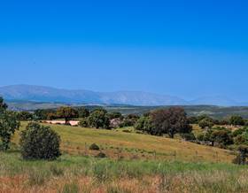 lands for sale in las navas del marques