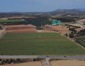 lands for sale in maria de la salut