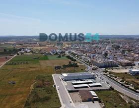 lands for sale in alcudia, islas baleares