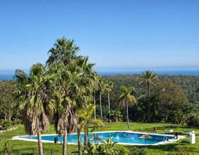apartments for sale in san roque