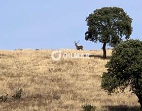 lands for sale in pegalajar