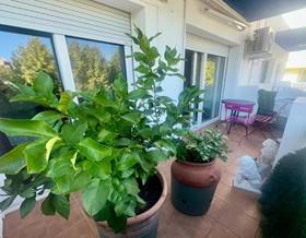 apartments for sale in sant pere pescador