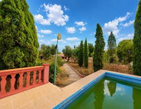 lands for sale in lloret de vistalegre