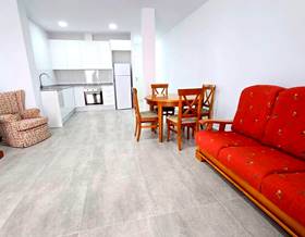 apartment rent gandia by 850 eur