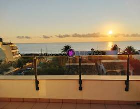 apartments for rent in jesus pobre
