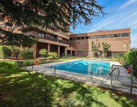 apartments for rent in ciudad lineal madrid