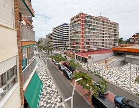 apartments for rent in cullera
