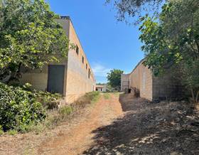 lands for sale in maria de la salut