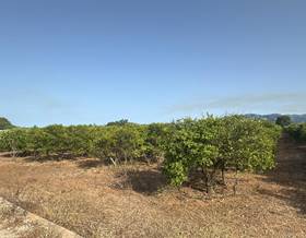 land sale masdenverge cataluña by 45,000 eur