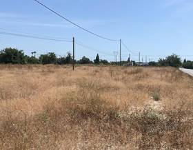 land sale elche elx maitino by 264,500 eur