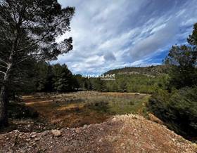 land sale l´ olleria comunidad valenciana by 39,000 eur