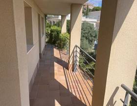 apartments for rent in teia