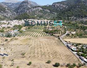 lands for sale in caimari