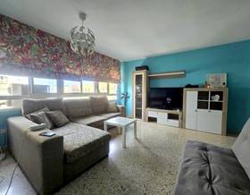 apartments for rent in morche
