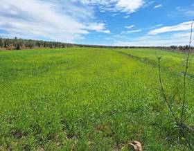 land sale badajoz bienvenida by 35,200 eur