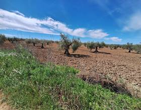 land sale badajoz bienvenida by 78,000 eur
