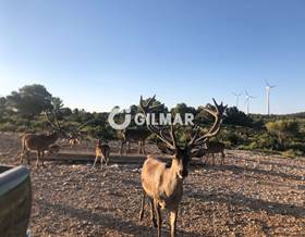 lands for sale in valencia provincia valencia