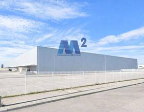 industrial warehouses for rent in alovera