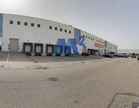 industrial warehouses for rent in coslada