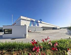 industrial warehouses for rent in riba roja de turia