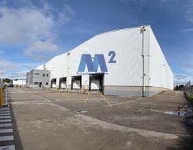 industrial warehouses for rent in guadalajara