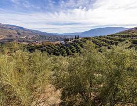 land sale granada resto provincia by 79,900 eur