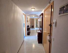 penthouse rent madrid capital by 1,500 eur
